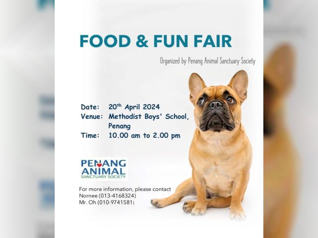 Food & Fun Fair
